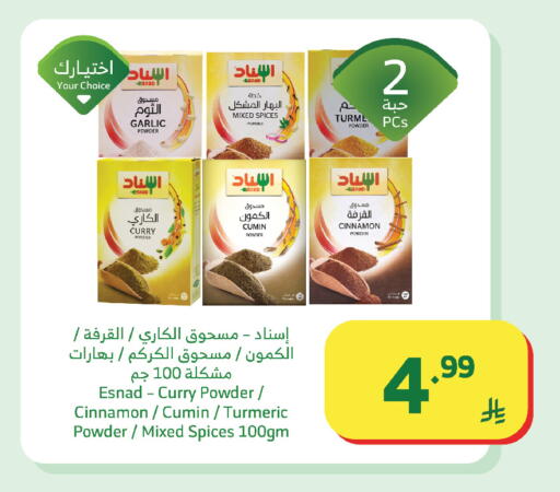 Garlic Cumin Cinnamon Turmeric available at Al Raya in KSA, Saudi Arabia, Saudi - Khamis Mushait