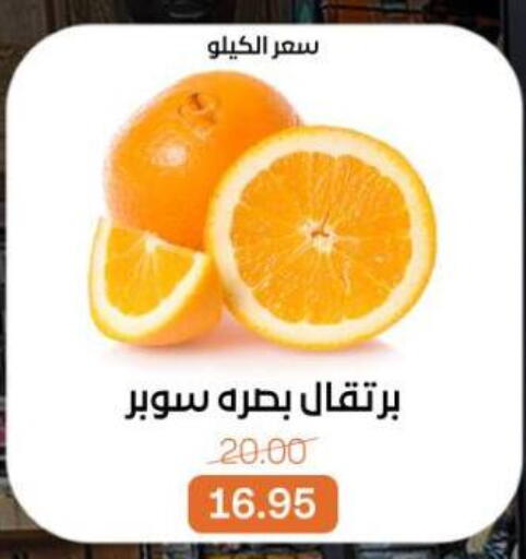 available at بيت الجملة in Egypt - القاهرة