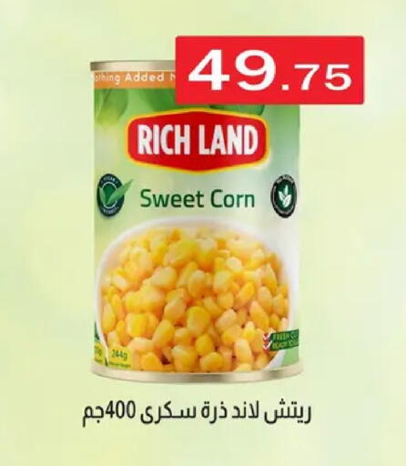 available at ABA market in Egypt - Cairo