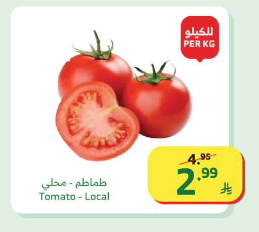 Tomato available at الراية in مملكة العربية السعودية, السعودية, سعودية - مكة المكرمة