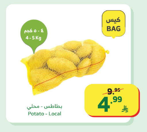 Potato available at الراية in مملكة العربية السعودية, السعودية, سعودية - تبوك