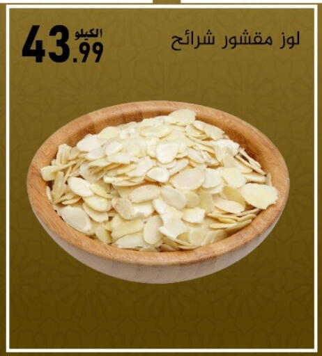 available at بن عفيف in مملكة العربية السعودية, السعودية, سعودية - المنطقة الشرقية