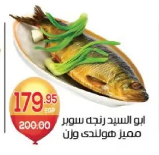 available at Zaher Dairy in Egypt - Cairo