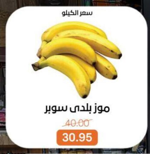 available at بيت الجملة in Egypt - القاهرة