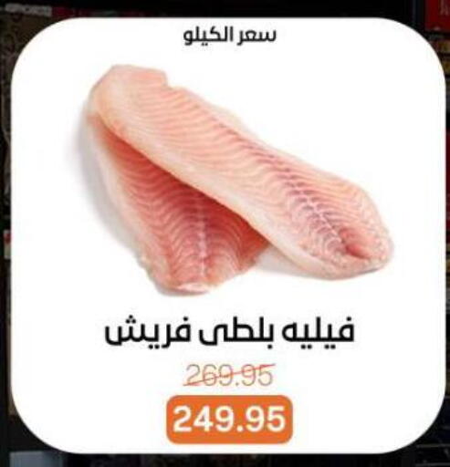 available at بيت الجملة in Egypt - القاهرة