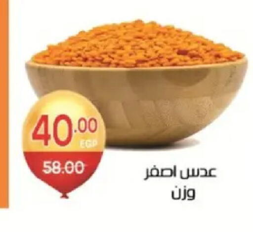 available at Zaher Dairy in Egypt - Cairo