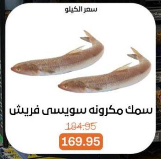 available at بيت الجملة in Egypt - القاهرة