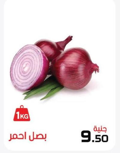 available at  Zahran Market in Egypt - Cairo