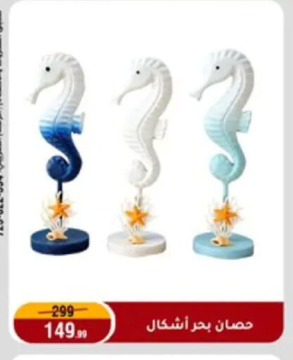 available at Al Morshedy  in Egypt - Cairo