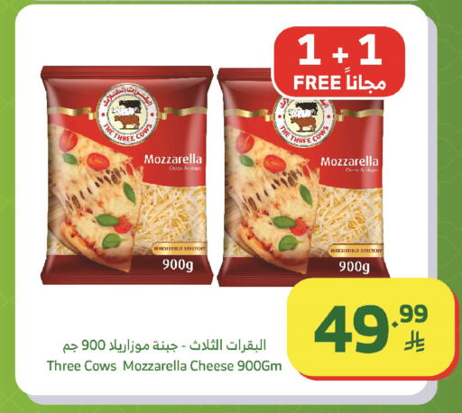 available at الراية in مملكة العربية السعودية, السعودية, سعودية - الباحة