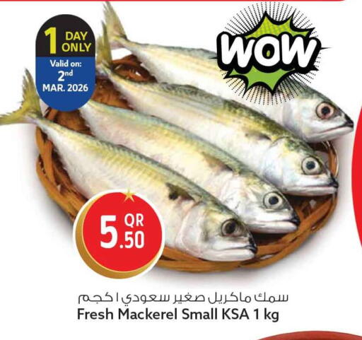 available at سفاري هايبر ماركت in قطر - أم صلال