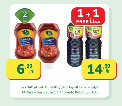 Tomato available at Al Raya in KSA, Saudi Arabia, Saudi - Mecca