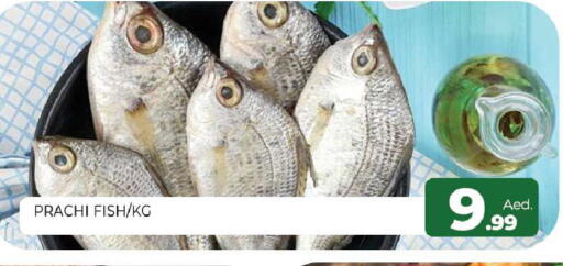 available at Al Madina  in UAE - Sharjah / Ajman