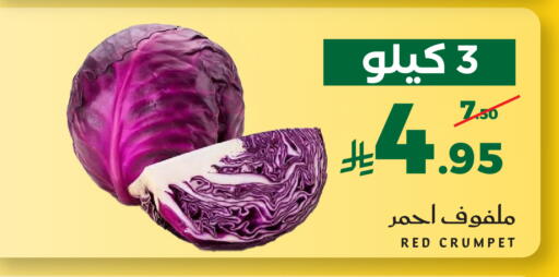 available at Mira Mart Mall in KSA, Saudi Arabia, Saudi - Jeddah