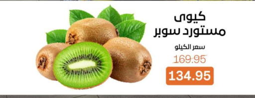 available at بيت الجملة in Egypt - القاهرة