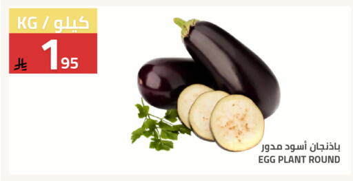 available at Astra Markets in KSA, Saudi Arabia, Saudi - Tabuk