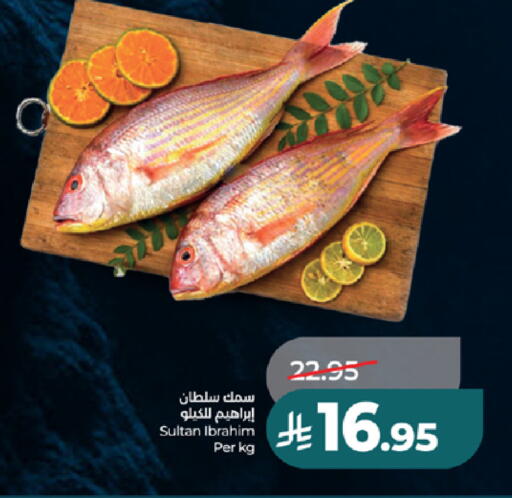 available at LULU Hypermarket in KSA, Saudi Arabia, Saudi - Tabuk