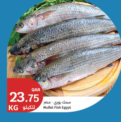 available at City Hypermarket in Qatar - Al Rayyan