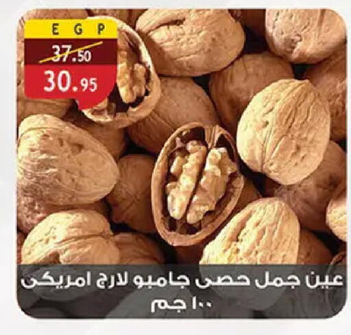 available at Al Rayah Market   in Egypt - Cairo
