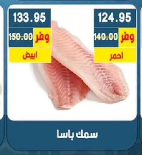 available at بشاير هايبرماركت in Egypt - القاهرة