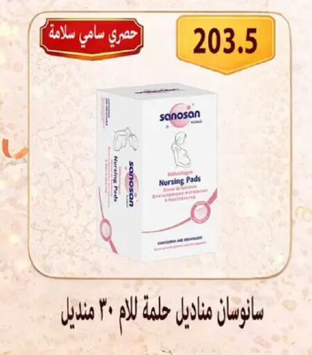 available at Hyper Samy Salama Sons in Egypt - Cairo