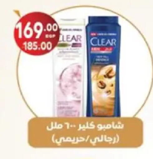 available at Galhom Market in Egypt - Cairo