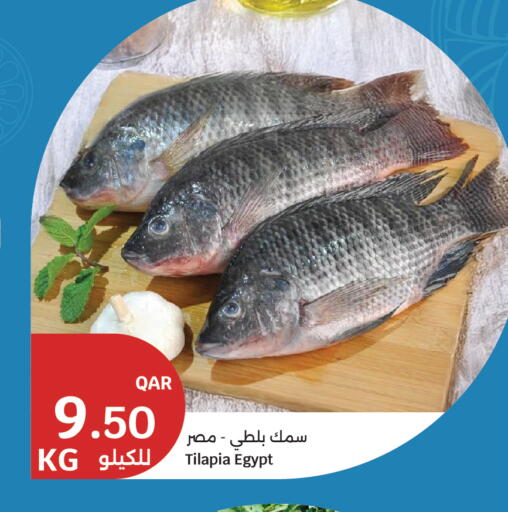 available at City Hypermarket in Qatar - Al Rayyan