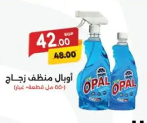 available at Galhom Market in Egypt - Cairo