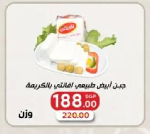 available at Galhom Market in Egypt - Cairo