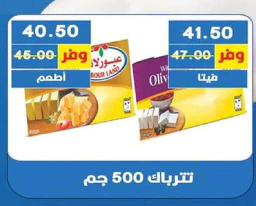 available at بشاير هايبرماركت in Egypt - القاهرة