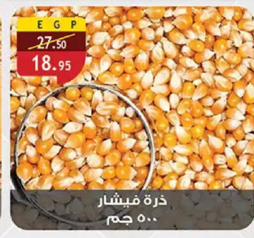 available at Al Rayah Market   in Egypt - Cairo