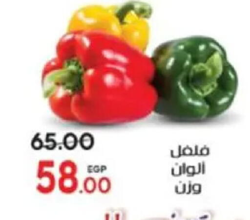 available at Galhom Market in Egypt - Cairo