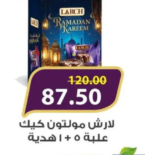 available at بشاير هايبرماركت in Egypt - القاهرة