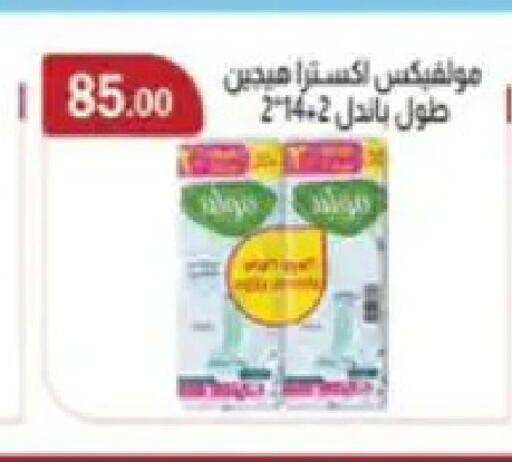 available at ابا ماركت in Egypt - القاهرة