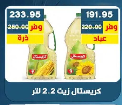 available at بشاير هايبرماركت in Egypt - القاهرة