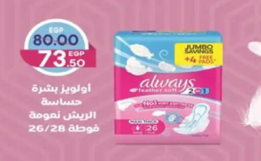 available at Galhom Market in Egypt - Cairo