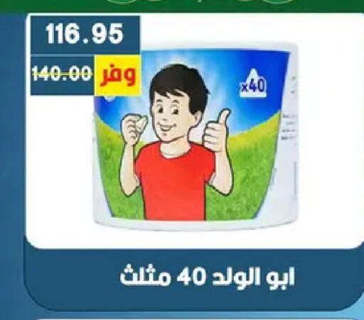 available at Bashayer hypermarket in Egypt - Cairo