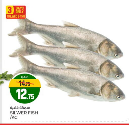 available at Paris Hypermarket in Qatar - Al Rayyan