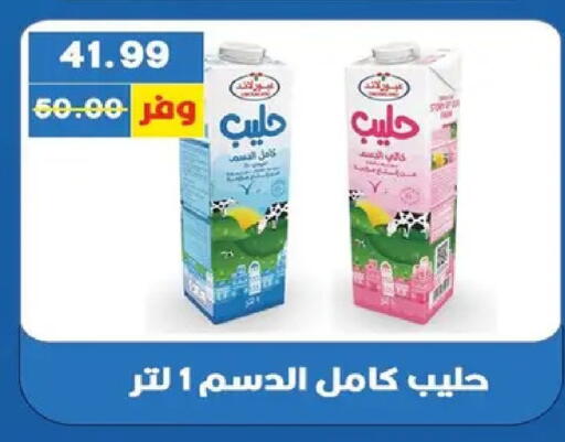available at بشاير هايبرماركت in Egypt - القاهرة
