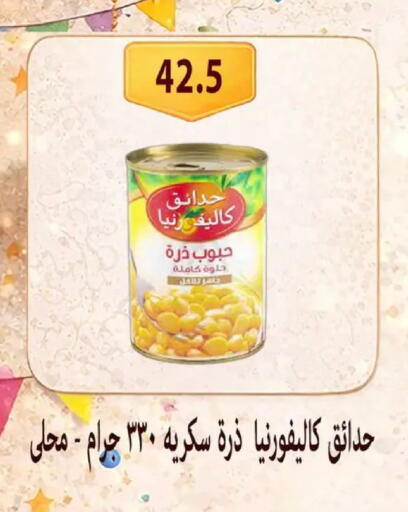 available at Hyper Samy Salama Sons in Egypt - Cairo