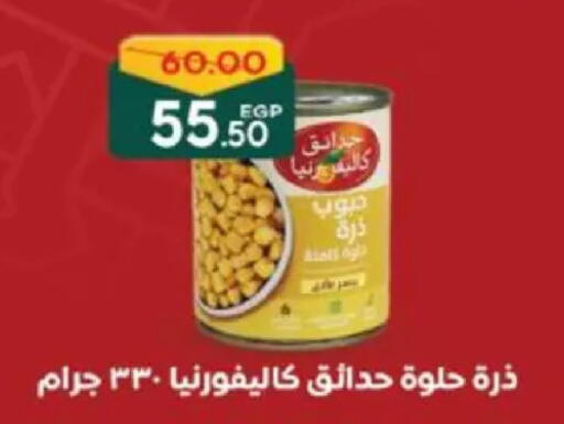 available at Galhom Market in Egypt - Cairo