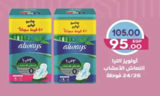 available at Galhom Market in Egypt - Cairo