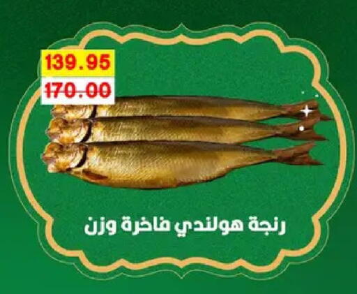available at بشاير هايبرماركت in Egypt - القاهرة
