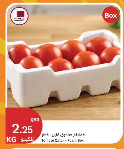 Tomato from Qatar available at City Hypermarket in Qatar - Al Shamal