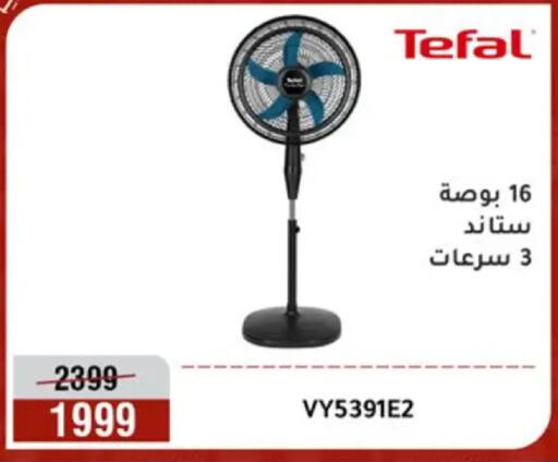 available at Al Morshedy  in Egypt - Cairo