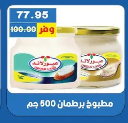 available at Bashayer hypermarket in Egypt - Cairo