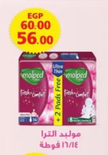 available at Galhom Market in Egypt - Cairo