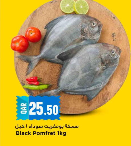 available at مرزا هايبرماركت in قطر - الشمال
