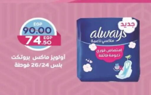 available at Galhom Market in Egypt - Cairo