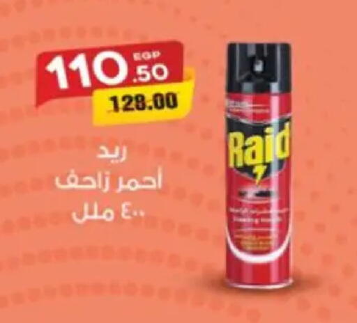 available at Galhom Market in Egypt - Cairo